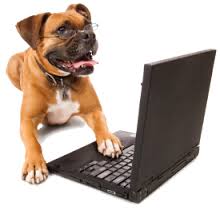 Hond met computer